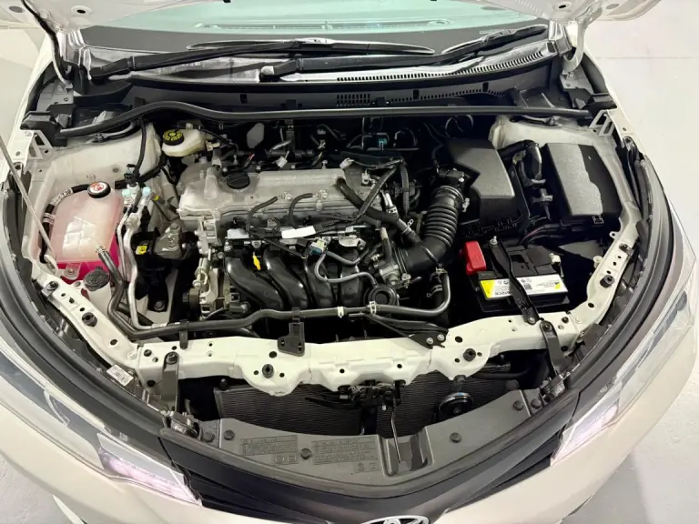 20d706c0-0150-453a-bd31-977b4b5a1039